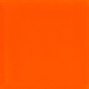 Meet your Posher, Leila